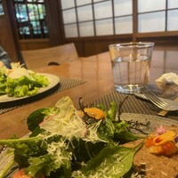 タケル クインディチ(LOQUAT) 西伊豆 - 