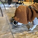 軽井沢ベランダ - 