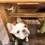 軽井沢ベランダ - 