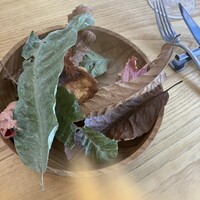 アグリスケープ - 