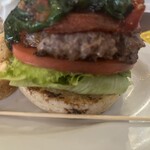 パントリー コヨーテ - 