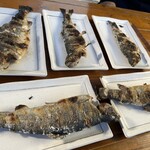 白糸マス釣りセンター - 