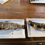 白糸マス釣りセンター - 