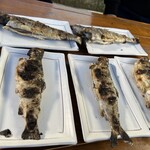 白糸マス釣りセンター - 