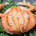レストラン オオツ - 2024.12 金沢産香箱蟹
