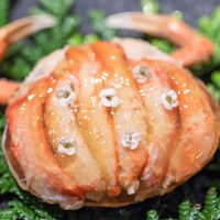 レストラン オオツ - 2024.12 金沢産香箱蟹