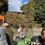 五十嵐酒造 - 歌手の人も来ました 酔っぱらい相手にどうなんでしょ？ 今度来てくれるかわからないからみんなちゃんと拍手してくれてました