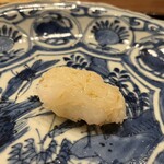 鎌倉 北じま - アオリイカ