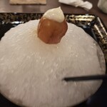 鎌倉 北じま - 金柑