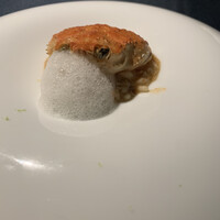 セルサルサーレ - 