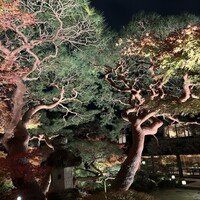 南禅寺参道 菊水 - 