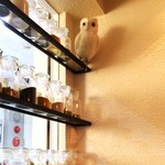 ボタニカリー - フクロウに見られてますｗ