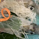 桃山亭 海舟 桃山天下市店 - 