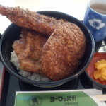 ヨーロッパ軒 - 2013.06.03　ミックス丼。丸岡店とは内容が違う。