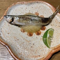 ひぐらし - 