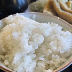 アオザカナニコイヲシタ - 