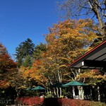 万平ホテル カフェテラス - 