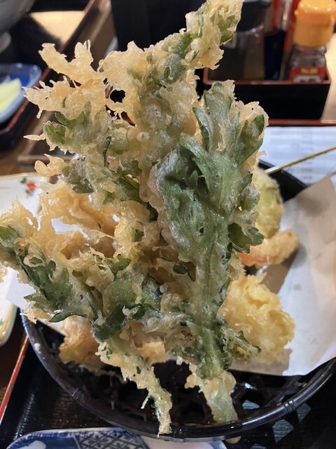 そば処泰光 - 天童南（そば）の写真