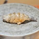 五反田鮨 SUSHI TOKYO 81 - 