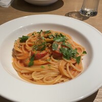 カステリーナ -  カステリーナ -