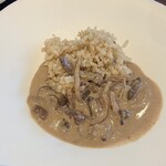 275586349 - ビーフストロガノフ　信州の玄米ご飯