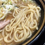 横浜家系ラーメン 三郷家 - 大橋製麺多摩の中太麺。