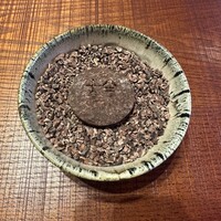 Restaurant COCON (鎌倉古今) - 