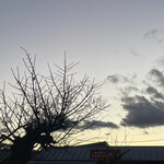 南房総 やまと寿司 - 