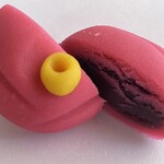 亀末廣 - 上生菓子（椿）　　黒こなしは口どけ滑らか