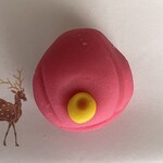 亀末廣 - 上生菓子（椿）