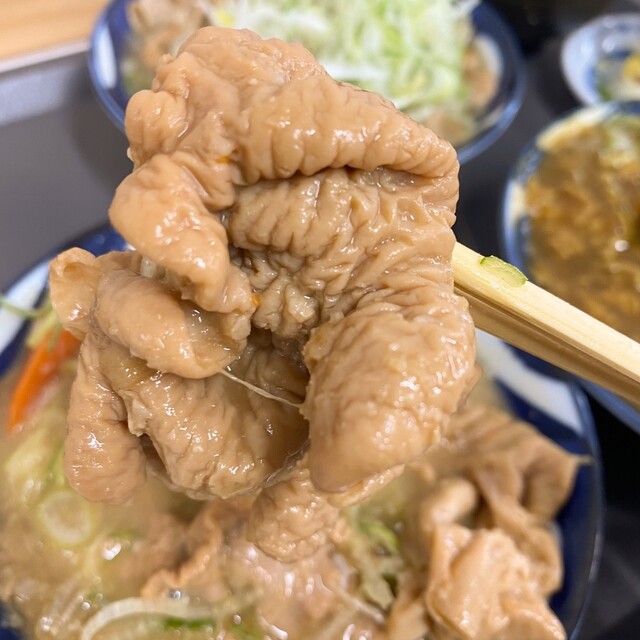 もつ乃 - 下溝/豚料理 | 食べログ