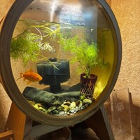 お料理 とみやま - 