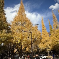 キハチ 青山本店 - 