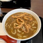 CoCo壱番屋 - 料理写真:カレーうどん（＋イカ）