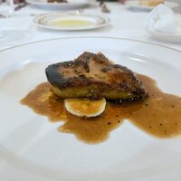 Pigeon - 
