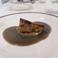 Pigeon - 