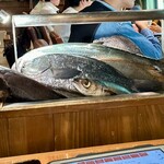 なきざかな 新宿店はなれ - 