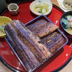 炭焼 うな富士 - 