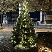 TEIEN Restaurant comodo - 