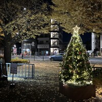 TEIEN Restaurant comodo - 