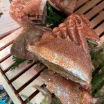 ススキノデパート - 