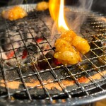生ホルモン 炭焼き 牛とろ - ホルモンファイヤー