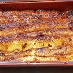 うなぎ 魚政 -   坂東太郎特上