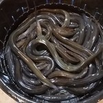 うなぎ 魚政 - 天然うなぎ