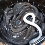 うなぎ 魚政 -  国産鰻