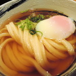 極浄うどん うだま - 2014.5野菜天うどん小に温玉トッピングをひやひやで