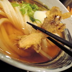 極浄うどん うだま - 2014.5野菜天うどん小に温玉トッピングをひやひやで