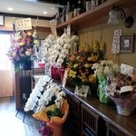 Iori -  綺麗な胡蝶蘭とお花