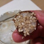 ひろ作 -  衣かつぎ。