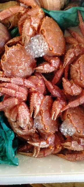 呑処 あっけらかん